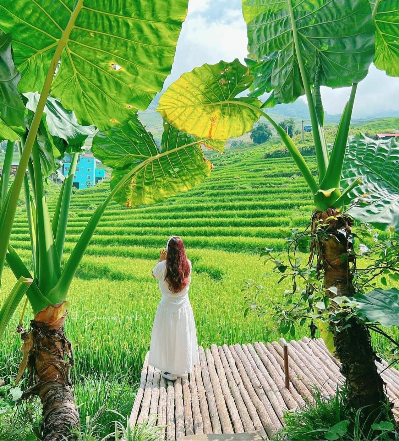 Boutique En Hotel Sapa المظهر الخارجي الصورة